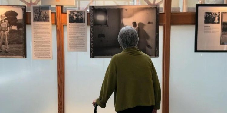 Inside a gallery that remembers the forced Japanese internment