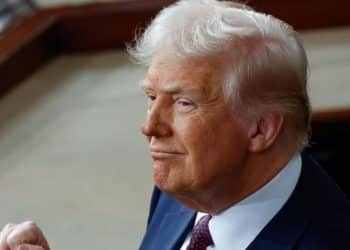 Trump says a “little disturbance” in markets is ok after stocks plunge amid trade war