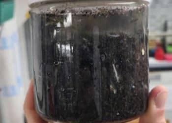 Toxic ash from L.A. wildfires could impact fish, marine life