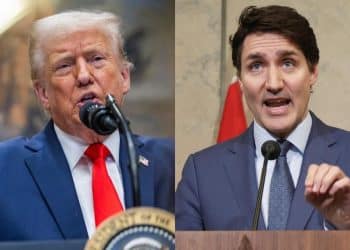 Trudeau slams Trump’s tariffs as stocks plunge