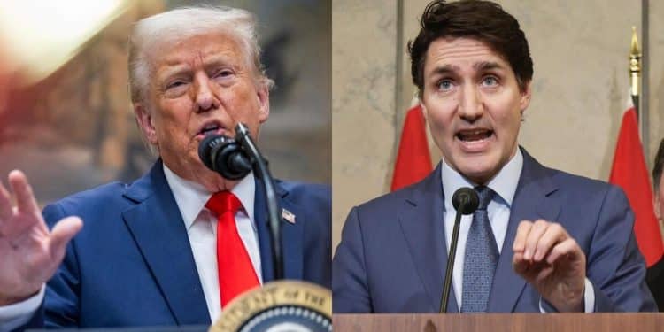 Trudeau slams Trump’s tariffs as stocks plunge