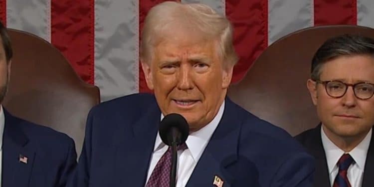 Trump outlines his economic plans to Congress