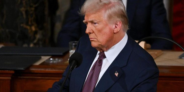 Trump says Ukraine is ready to sign minerals deal