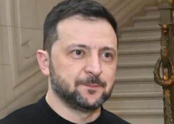 Ukraine’s Zelenskyy asks Europe for a lifeline after Trump pulls support