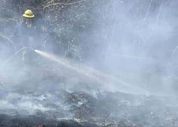 What to know about the wildfires in North and South Carolina