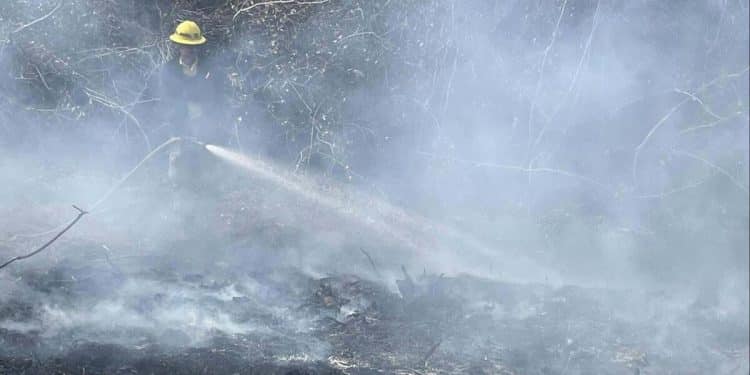 What to know about the wildfires in North and South Carolina