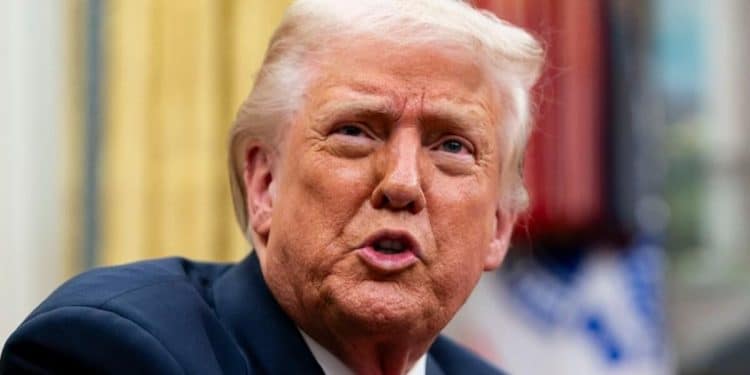 Why Trump is pausing tariffs on some goods from Mexico, Canada