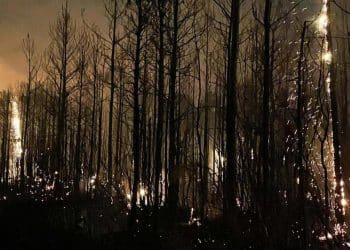 Wildfires rage in the Carolinas