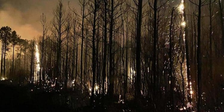 Wildfires rage in the Carolinas