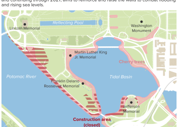 When and where to see D.C.’s iconic cherry blossoms