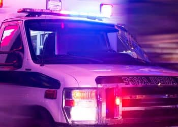 Dog accidentally shoots owner after getting paw stuck in trigger guard