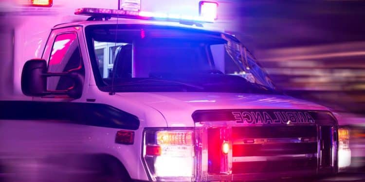 Dog accidentally shoots owner after getting paw stuck in trigger guard