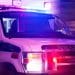 Dog accidentally shoots owner after getting paw stuck in trigger guard