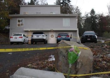 The audio of a 911 call in the Idaho student murder case has been released
