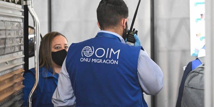 Over 180 migrants feared dead after shipwrecks off Yemen’s coast: U.N.