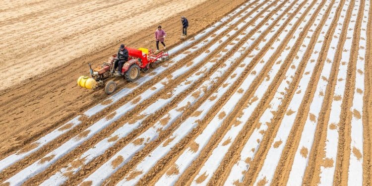 China’s retaliatory tariffs are a direct hit to U.S. farmers