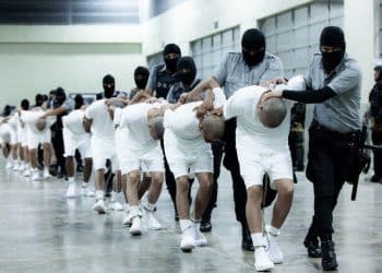 DOJ may invoke state secrets privilege in Alien Enemies Act deportation case