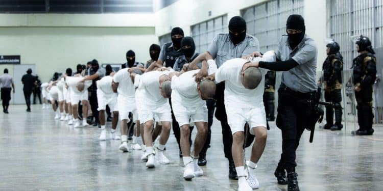 DOJ may invoke state secrets privilege in Alien Enemies Act deportation case