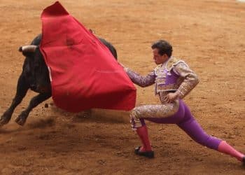 Mexico City bans violent bullfights in bid to save animals, and tradition
