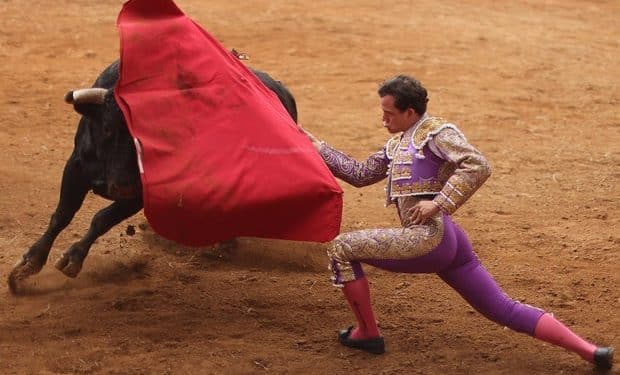 Mexico City bans violent bullfights in bid to save animals, and tradition