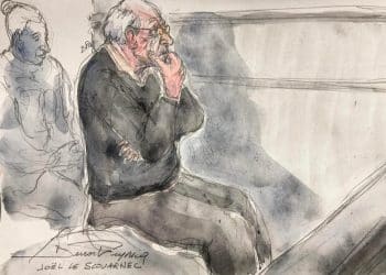 Ex-doctor in France mass-rape case admits abusing granddaughter, too