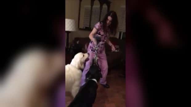 Susann Sills playing with dogs 