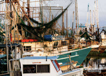 Are the Shrimp in the Gulf of America Misleading?