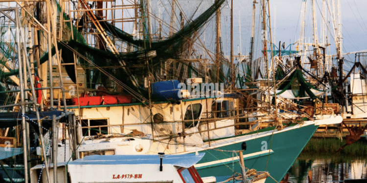 Are the Shrimp in the Gulf of America Misleading?