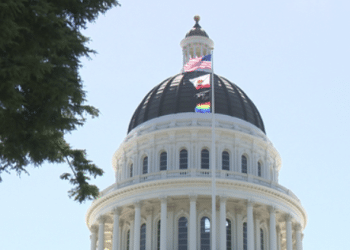 California’s AB 495: A Family Safety Net or a Quiet Expansion of State Control?