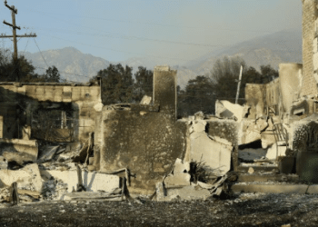 Where There’s Smoke, There’s Big Salary and Administration Fees: The $100m Mystery Behind Palisades Fire Aid. 