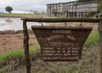 National Parks’ Hidden Neglect: The Dirty Truth Behind Defunding