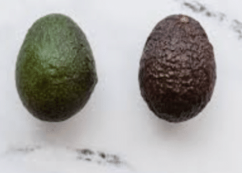 Mislead by Ripeness: The Avocado’s Betrayal Begins at First Squeeze