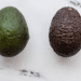 Mislead by Ripeness: The Avocado’s Betrayal Begins at First Squeeze