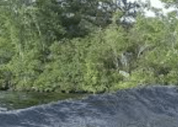 Making Waves, Mudding Facts: Are Wake Boats Misleading?