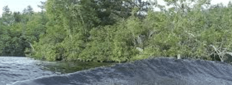 Making Waves, Mudding Facts: Are Wake Boats Misleading?