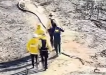 Palisades Fire Photos Torch California’s Denial,New evidence clashes with the state’s attempt to wash its hands of the chaos