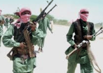 Diverted Dollars? How Minnesota Tax Money May Be Flying Overseas Into Dangerous Hands