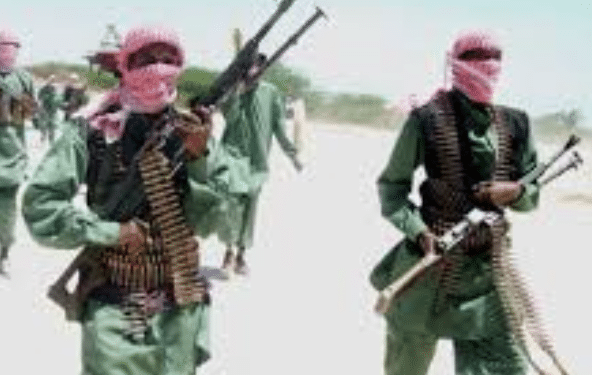 Diverted Dollars? How Minnesota Tax Money May Be Flying Overseas Into Dangerous Hands